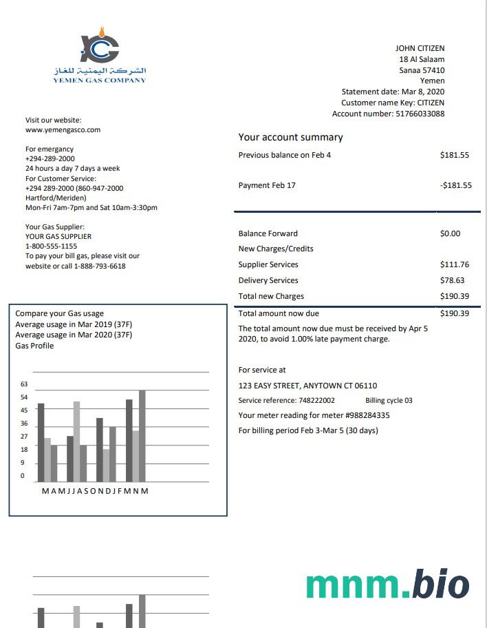 Jemen Gaz Spółka rachunek za media szablon w formacie Word i PDF